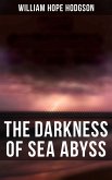 The Darkness of Sea Abyss (eBook, ePUB)