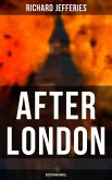 After London (Dystopian Novel) (eBook, ePUB)