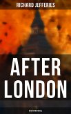 After London (Dystopian Novel) (eBook, ePUB)