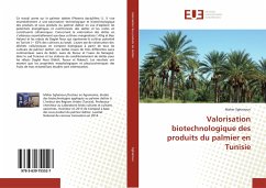Valorisation biotechnologique des produits du palmier en Tunisie - Sghairoun, Maher