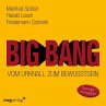 Big Bang: Vom Urknall zum Bewusstsein - Bild 1