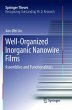 Well-Organized Inorganic Nanowire Films - Bild 1