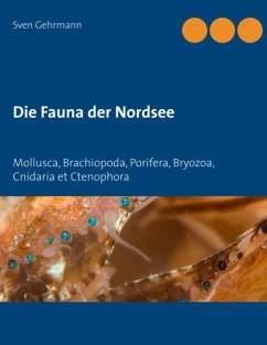 Die Fauna der Nordsee - Gehrmann, Sven