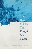 The River Where You Forgot My Name