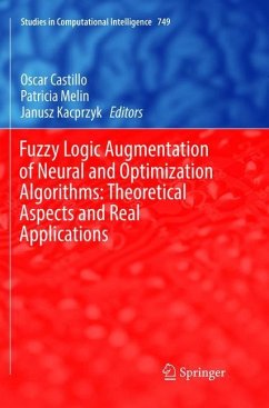 Fuzzy Logic Augmentation of Neural and Optimization Algorithms: Theoretical Aspects and Real Applications