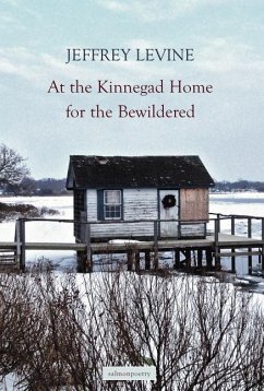 At the Kinnegad Home for the Bewildered - Levine, Jeffrey