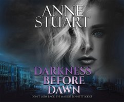 Darkness Before Dawn - Stuart, Anne