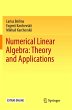 Numerical Linear Algebra: Theory and... - Bild 1