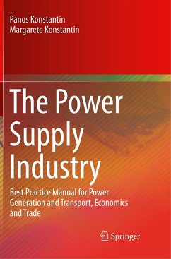 The Power Supply Industry - Konstantin, Panos;Konstantin, Margarete
