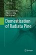 Domestication of Radiata Pine - Bild 1