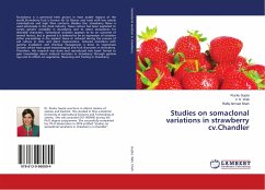 Studies on somaclonal variations in strawberry cv.Chandler