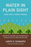 Water in Plain Sight