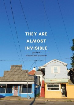 They Are Almost Invisible - Carmer, Elizabeth