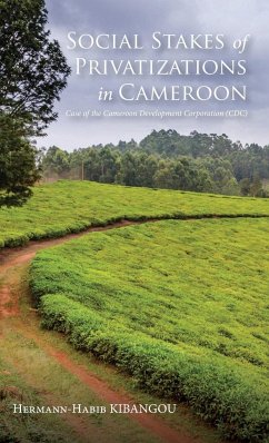 Social Stakes of Privatizations in Cameroon - Kibangou, Hermann-Habib