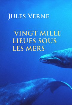 Vingt mille lieues sous les mers (eBook, ePUB) - Verne, Jules