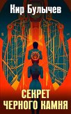 Sekret chernogo kamnya (eBook, ePUB)