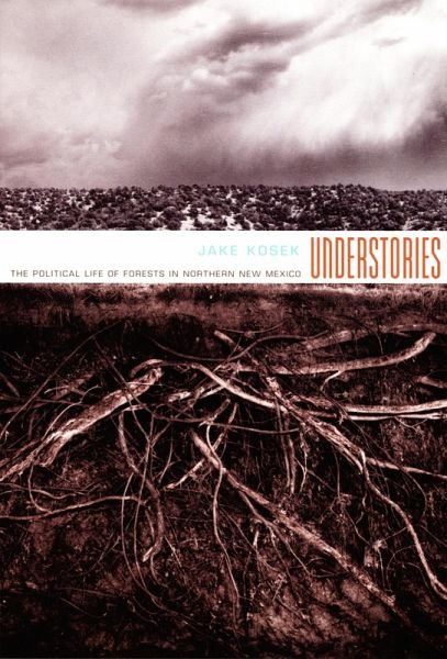 Understories (eBook, PDF)