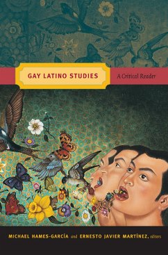 Cover Gay Latino Studies (eBook, PDF)