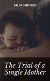 The Trial of a Single Mother (eBook, ePUB)
