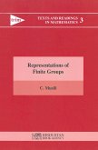 Representations of Finite Groups (eBook, PDF)