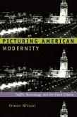 Picturing American Modernity (eBook, PDF)