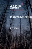 Divine Attributes (eBook, ePUB)