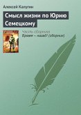 Смысл жизни по Юрию Семецкому (eBook, ePUB)