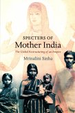 Specters of Mother India (eBook, PDF)