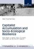 Capitalist Accumulation and Socio-Ecological Resilience (eBook, ePUB)