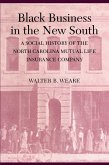 Black Business in the New South (eBook, PDF)