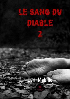 Le sang du diable 2 (eBook, ePUB) - Mabille, Cyril
