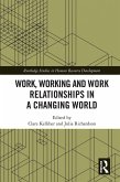 Work, Working and Work Relationships in a Changing World (eBook, PDF)