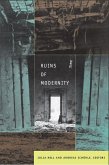 Ruins of Modernity (eBook, PDF)