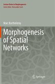 Morphogenesis of Spatial Networks