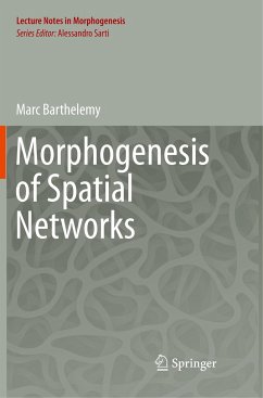 Morphogenesis of Spatial Networks - Barthelemy, Marc