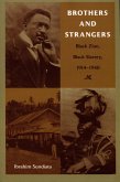 Brothers and Strangers (eBook, PDF)