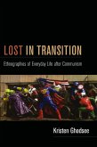 Lost in Transition (eBook, PDF)