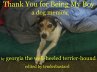 Thank You for Being My Boy - A Dog's... - Bild 1