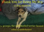 Thank You for Being My Boy - A Dog's Memoir (eBook, ePUB)