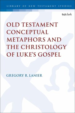Cover Old Testament Conceptual Metaphors and the Christology of Luke's Gospel (eBook, PDF)