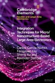 Integration Techniques for Micro/Nanostructure-based Large-Area Electronics (eBook, ePUB)