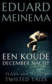 Een koude decembernacht (eBook, ePUB)
