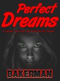 Perfect Dreams (eBook, ePUB)