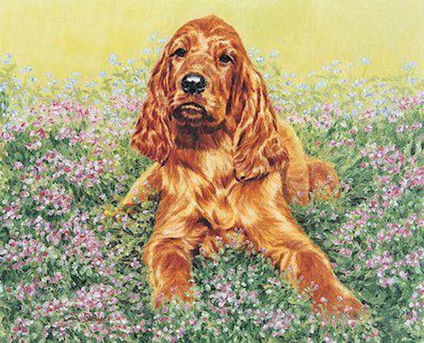 Little Red Chevy (eBook, ePUB)