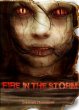 Fire in the Storm (eBook, ePUB) - Bild 1