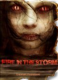 Fire in the Storm (eBook, ePUB)