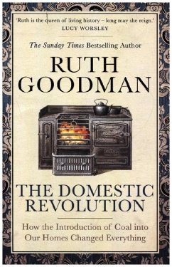 The Domestic Revolution - Goodman, Ruth