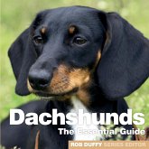 Dachshunds