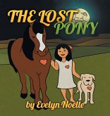 The lost pony The lost pony