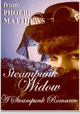 Steampunk Widow (eBook, ePUB)